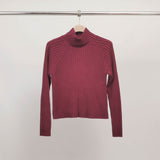 Pull col montant côtelé ajusté DSY9546