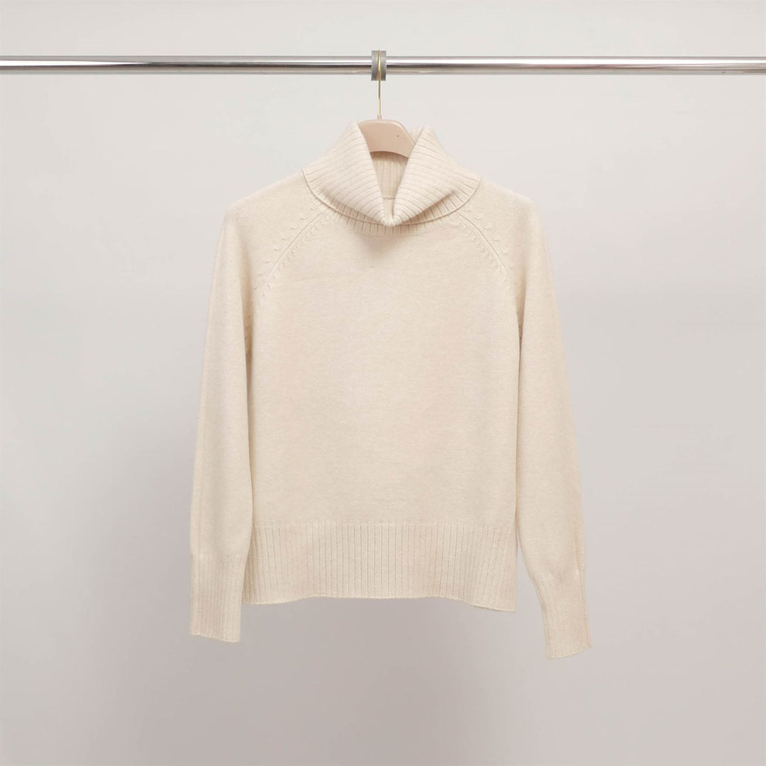 Soft knit turtleneck sweater DSY9560