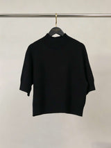 Pull col montant manches courtes YF570117