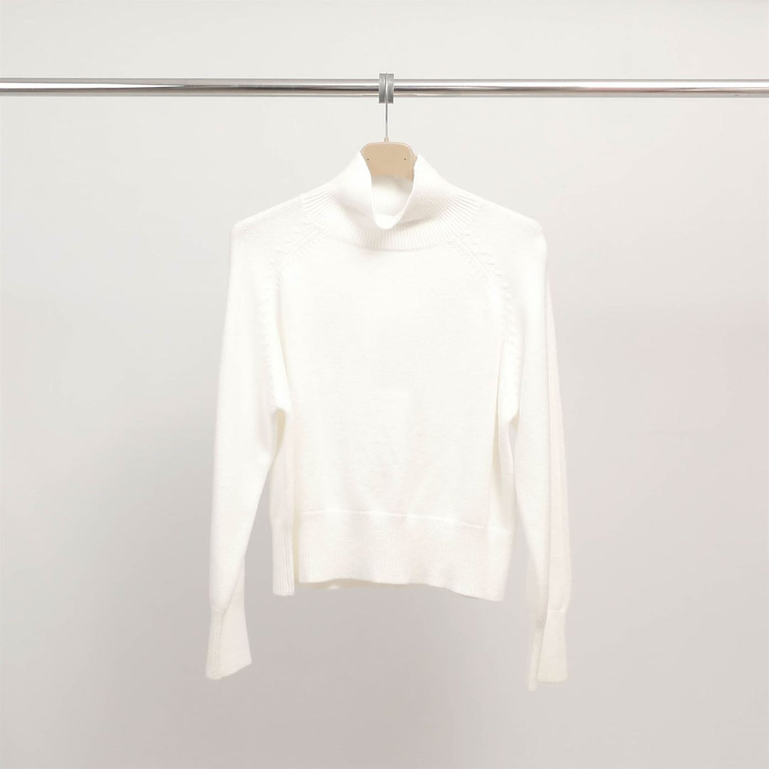 Long-sleeved, fine-knit turtleneck sweater DSY9300