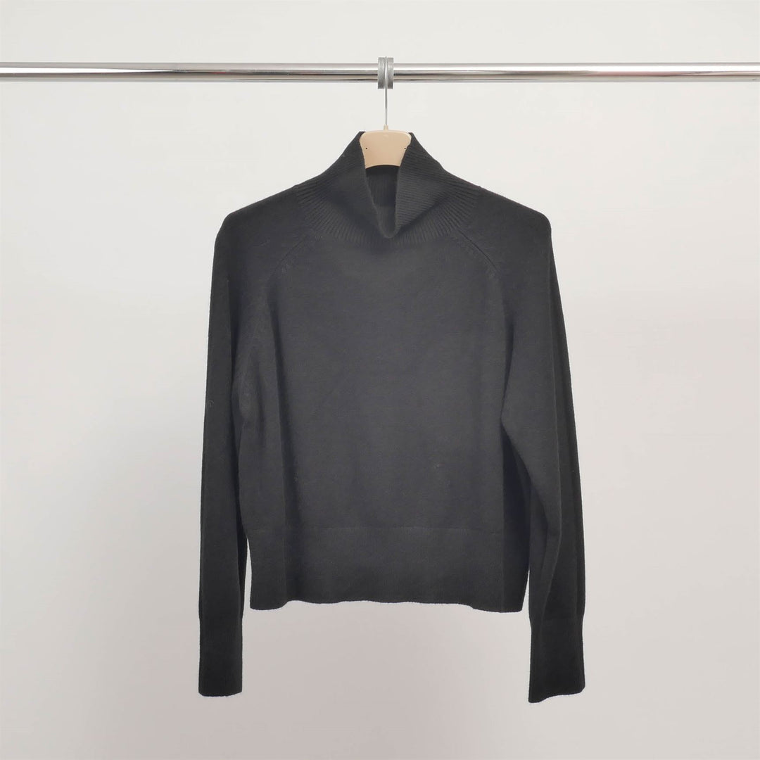 Long-sleeved, fine-knit turtleneck sweater DSY9300